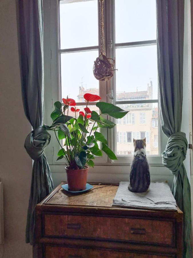 Jolie Chambre Dans Appartement Cosy En Plein Centre Marseilles Buitenkant foto